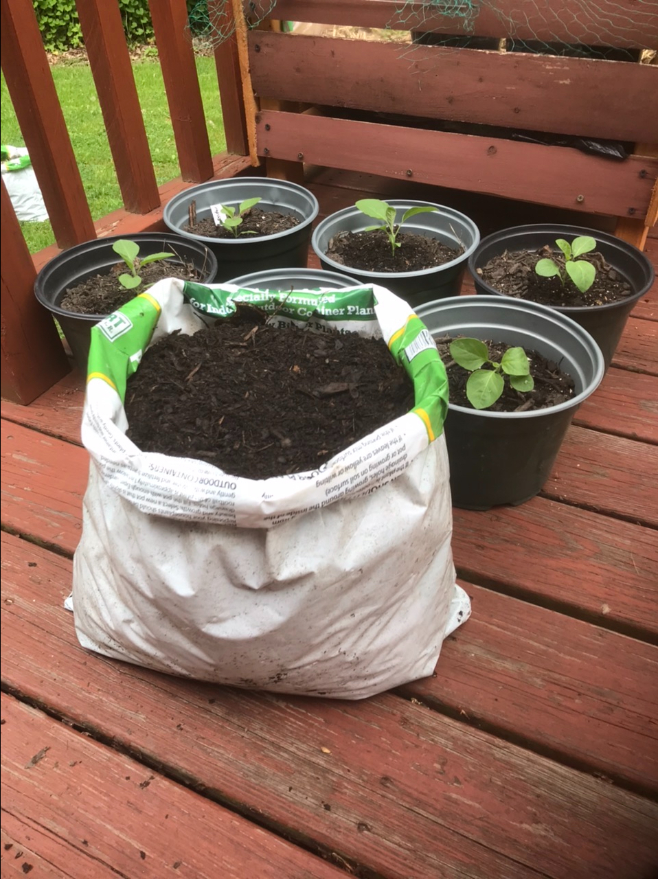 14 Soil Bag Gardening Ideas To Try This Year SharonSable
