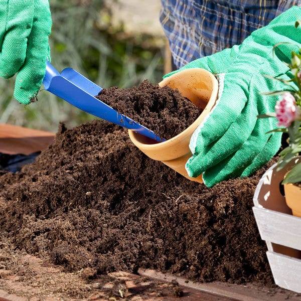 Container Gardening