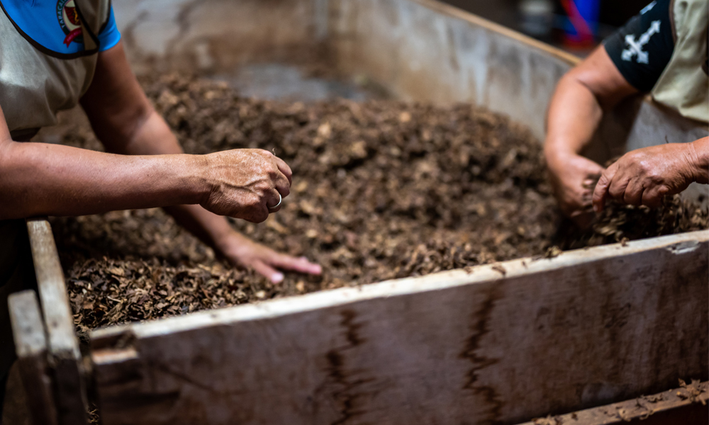 Soil Bag Container Gardening California Grown Container Gardening