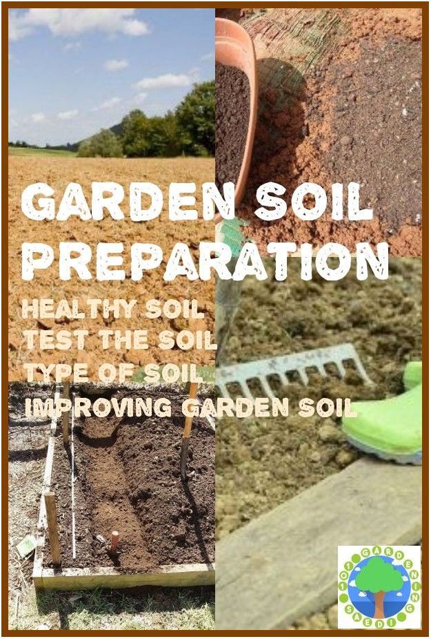 Healthy Garden Soil Backyard Eden