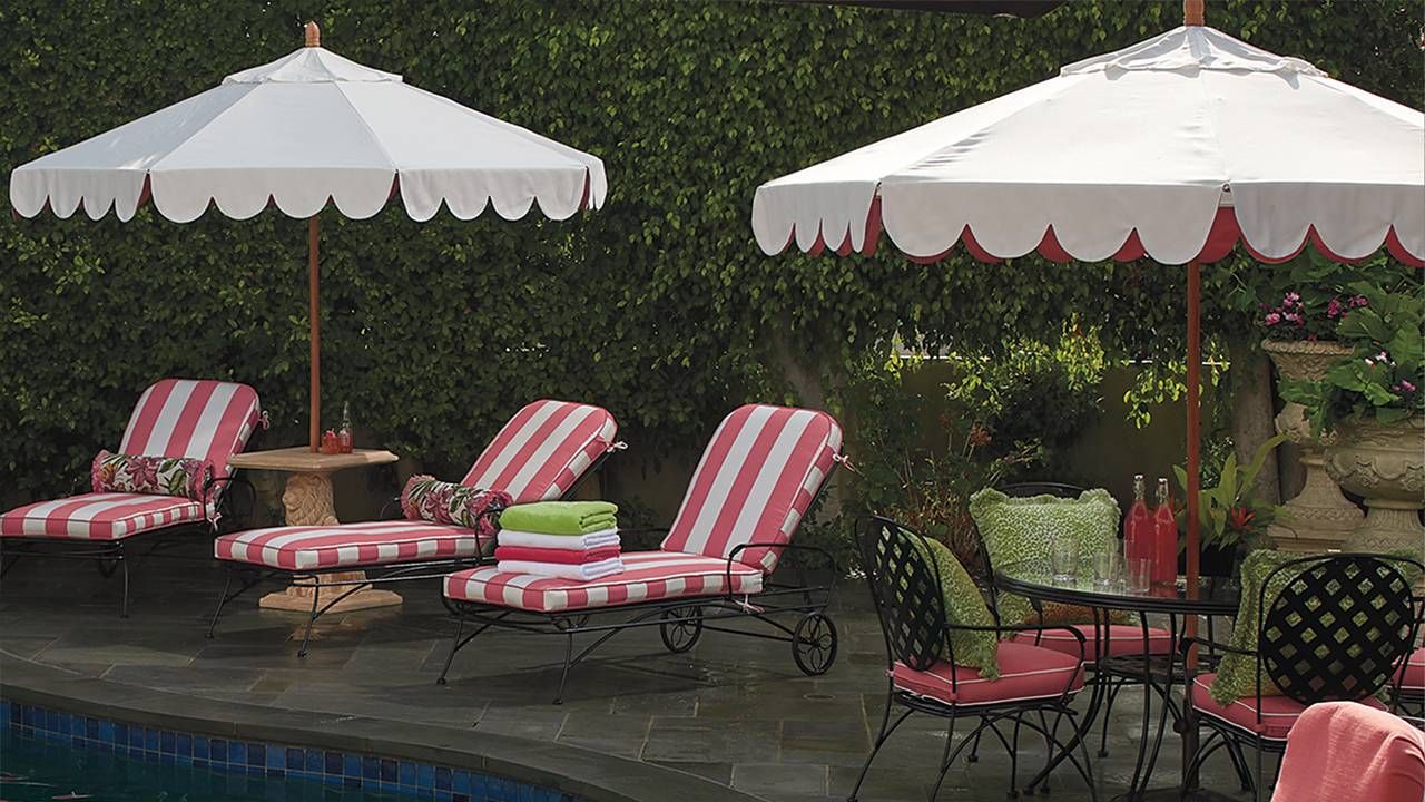 This Black Tropical Umbrella