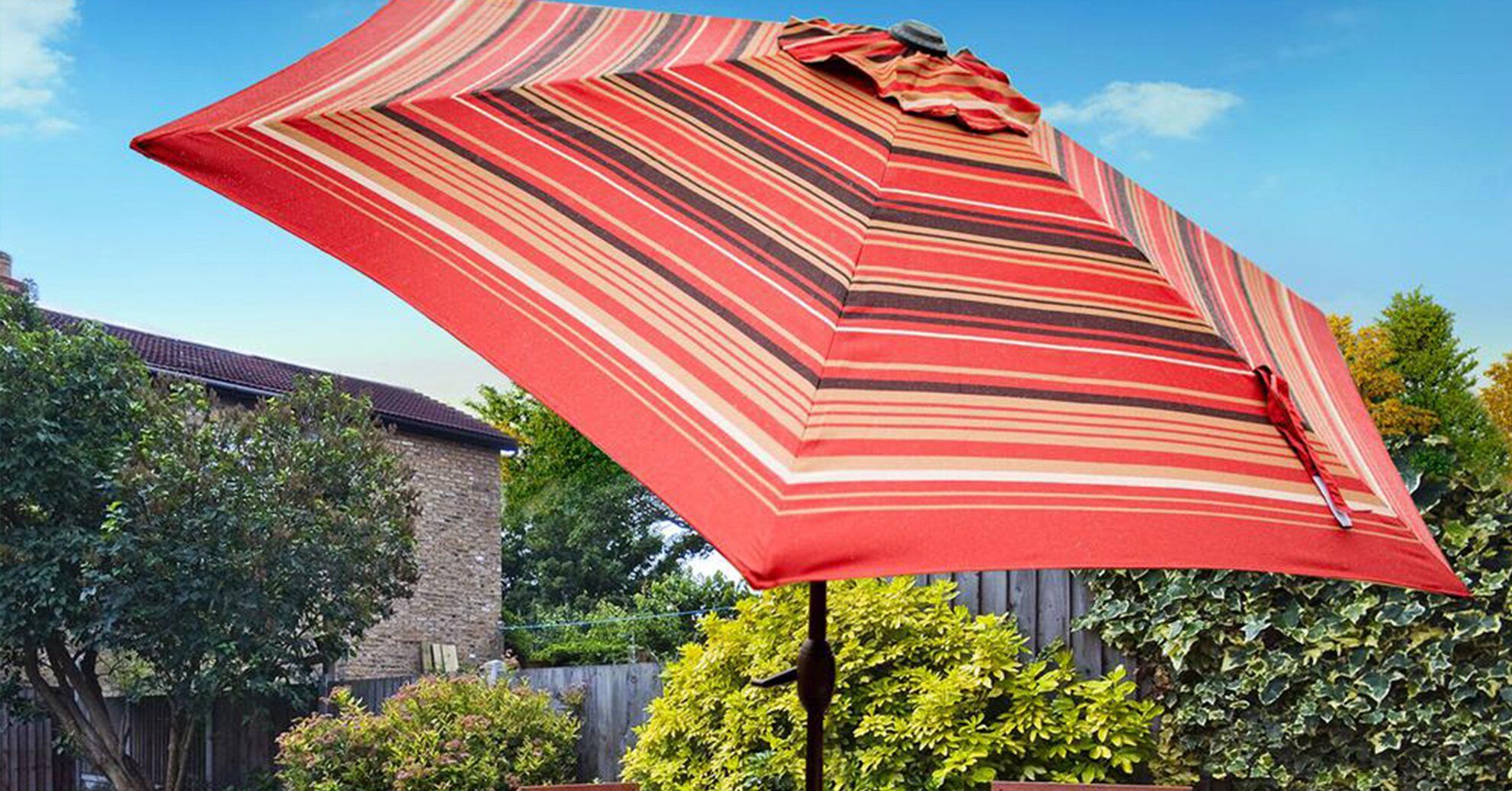 An Eyecatching Shady Spot