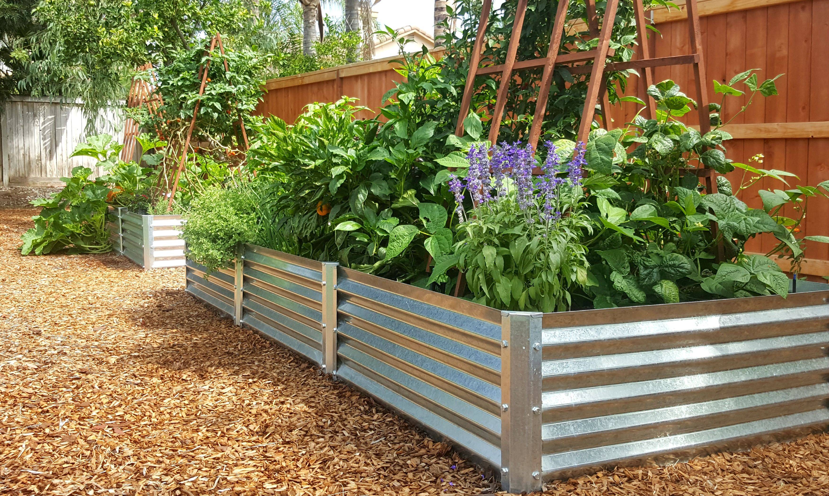 Your Own Corrugated Metal Raised Bed
