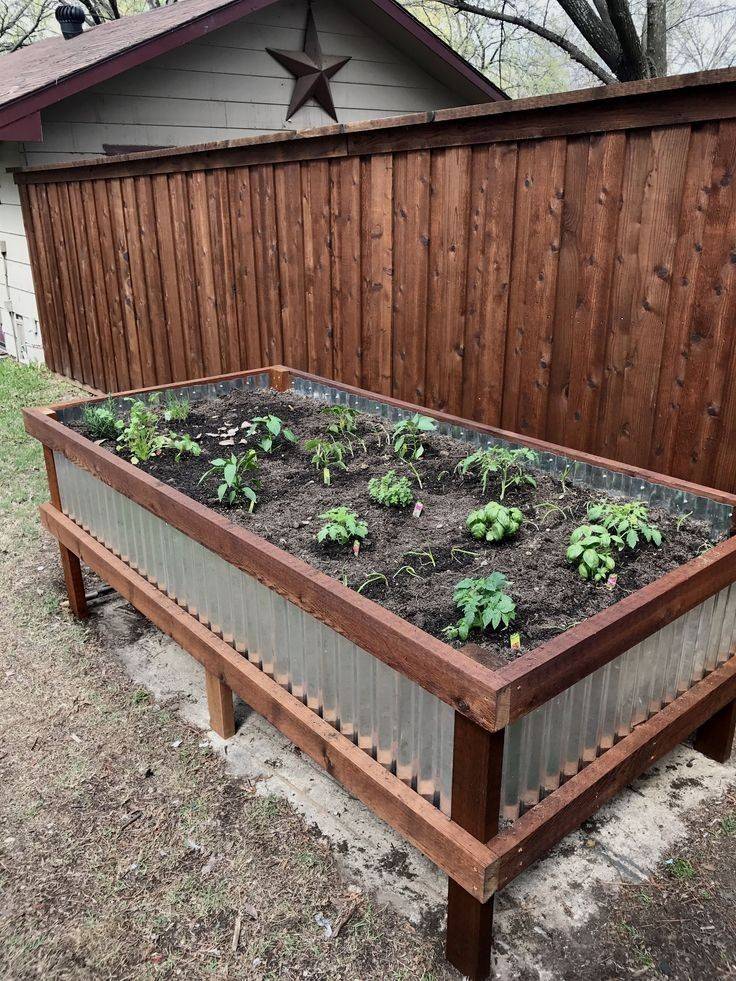 The Top Raised Garden Bed Ideas Landscaping Design