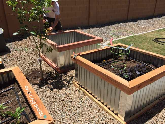 Corrugated Metal And Wood Raised Bed Garden Beds Metal Garden Beds