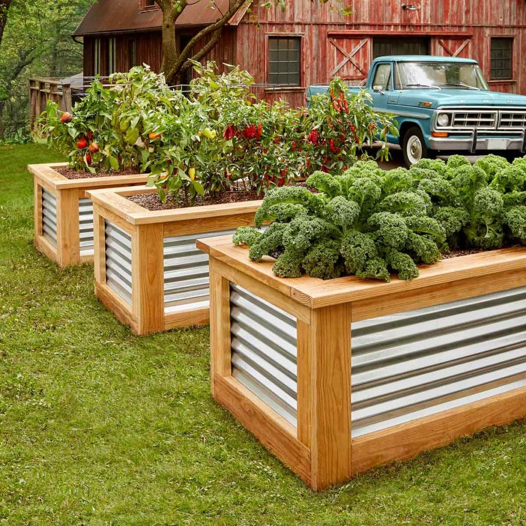 A Corrugated Metal Raised Bed Mk Library