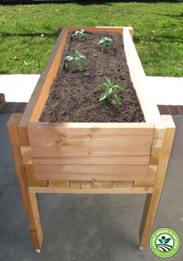 Garden Beds