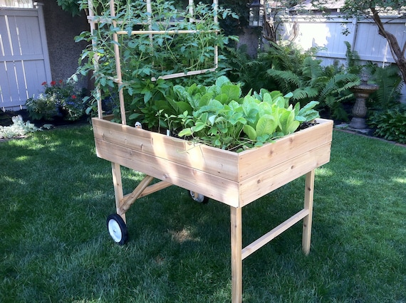 Growing Vegetables