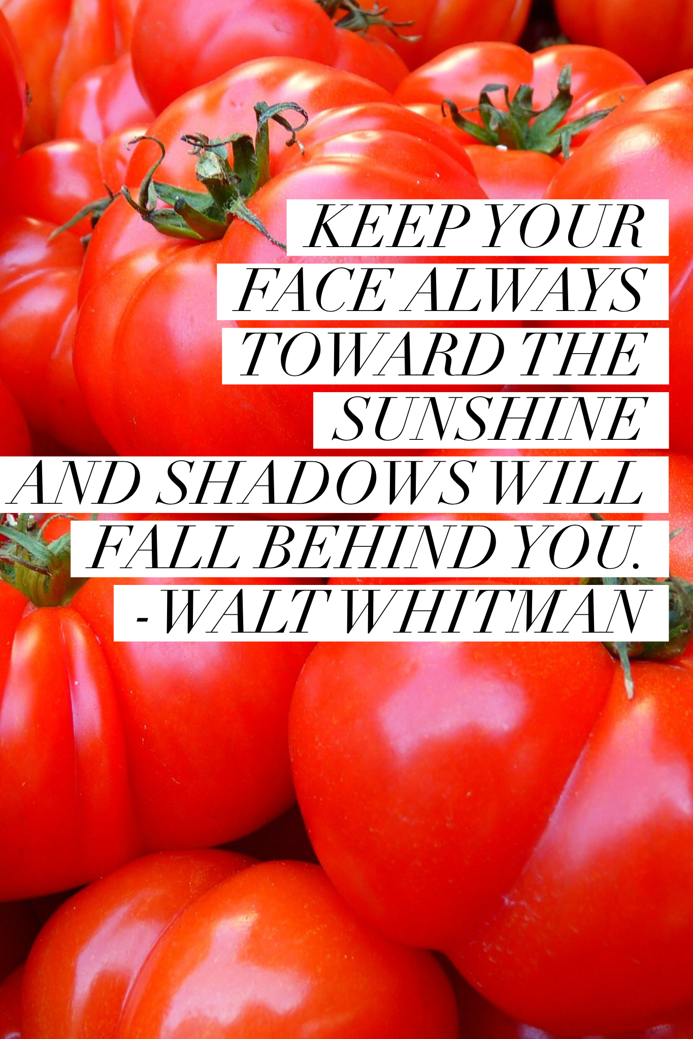 Google Search Garden Quotes