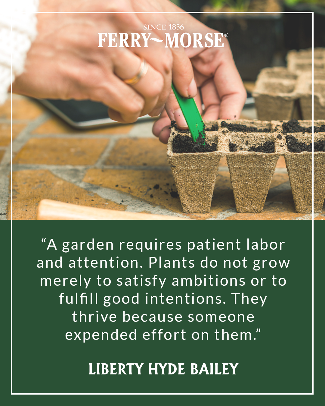 24 Vegetable Garden Sayings Ideas To Try This Year SharonSable