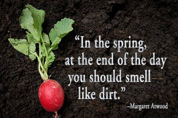 Gardening Statements