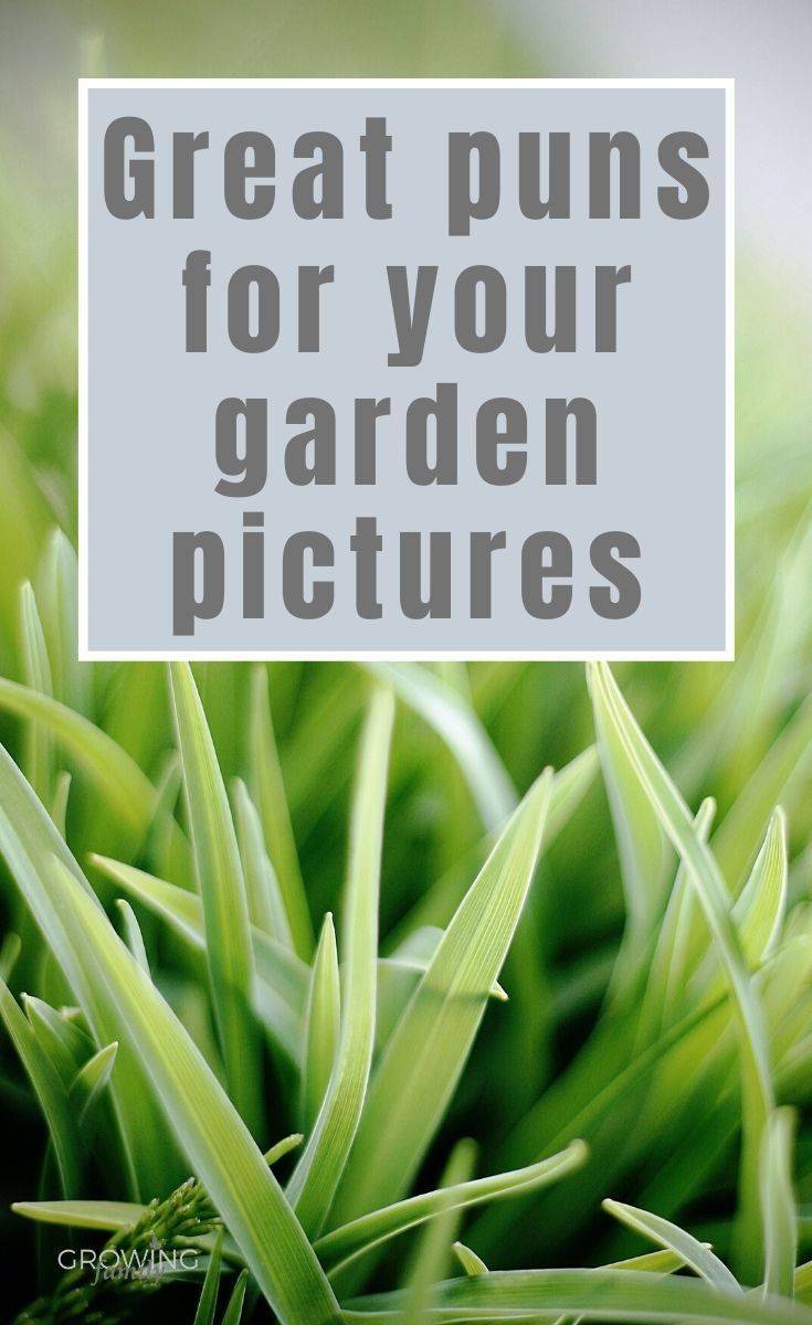 Green Thumb