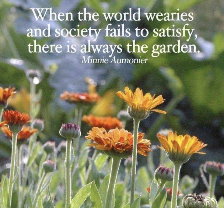 So True Gardening
