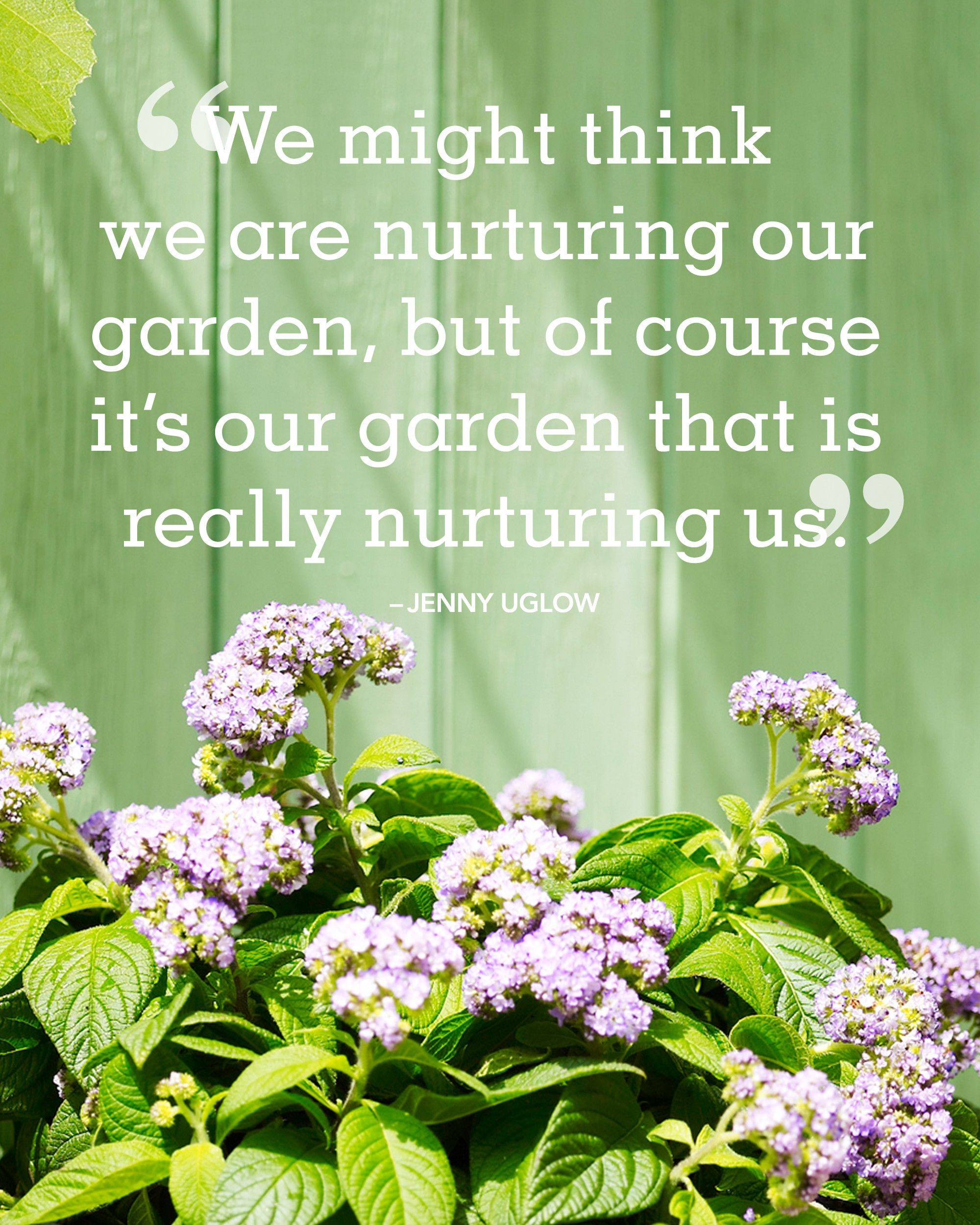 Wwwsquarefootgardeningcom Garden Quotes