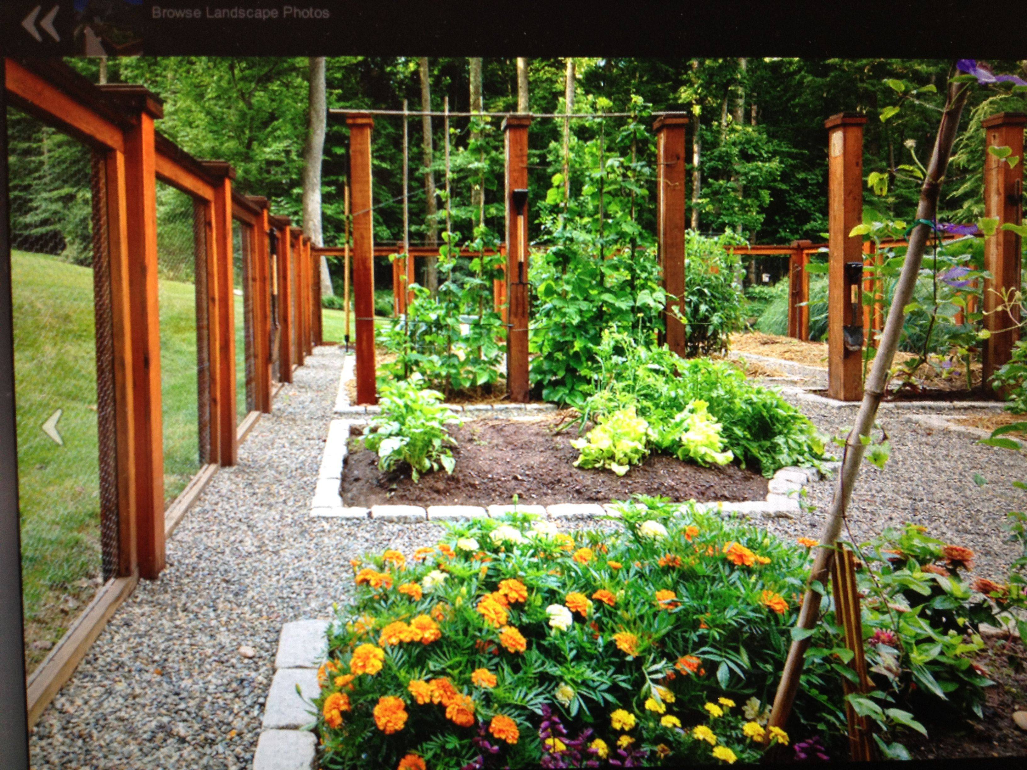 Raised Bed Vegetable Gardens Traditional Landscape Providence