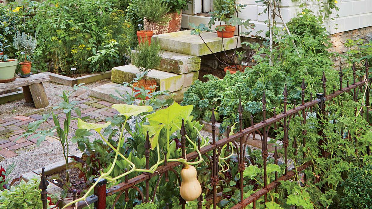 Diy Raised Garden Bed Ideas Instructions Diyraisedgarden