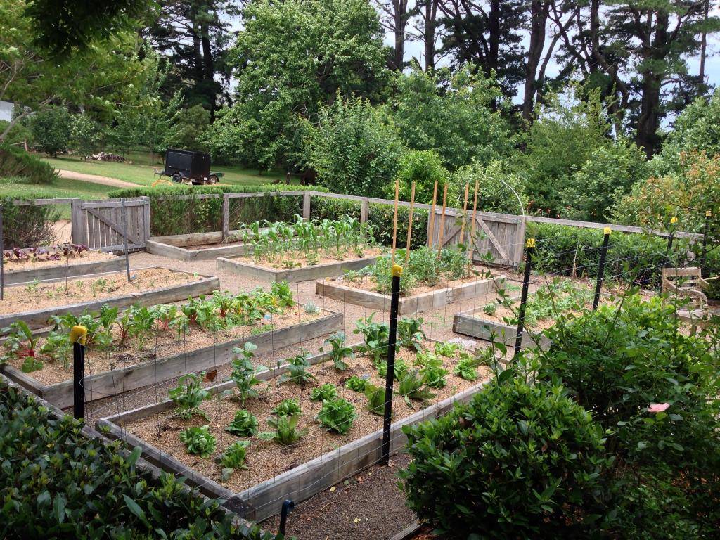 Diy Raised Garden Bed Ideas Instructions Diyraisedgarden