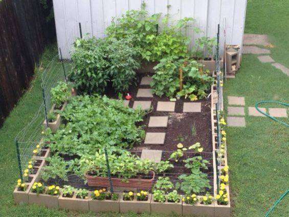 Organic Vegetable Garden Straw Bales Spring Vegetable
