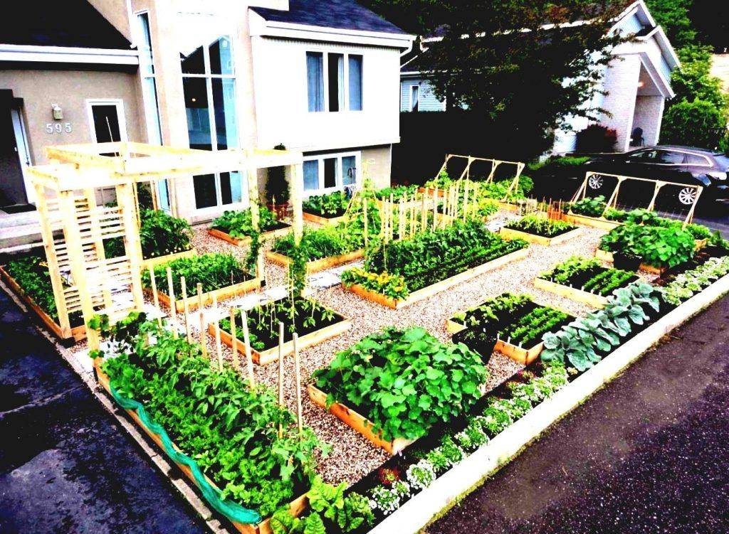 20 Traditional Southern Vegetable Garden Ideas You Must Look | SharonSable