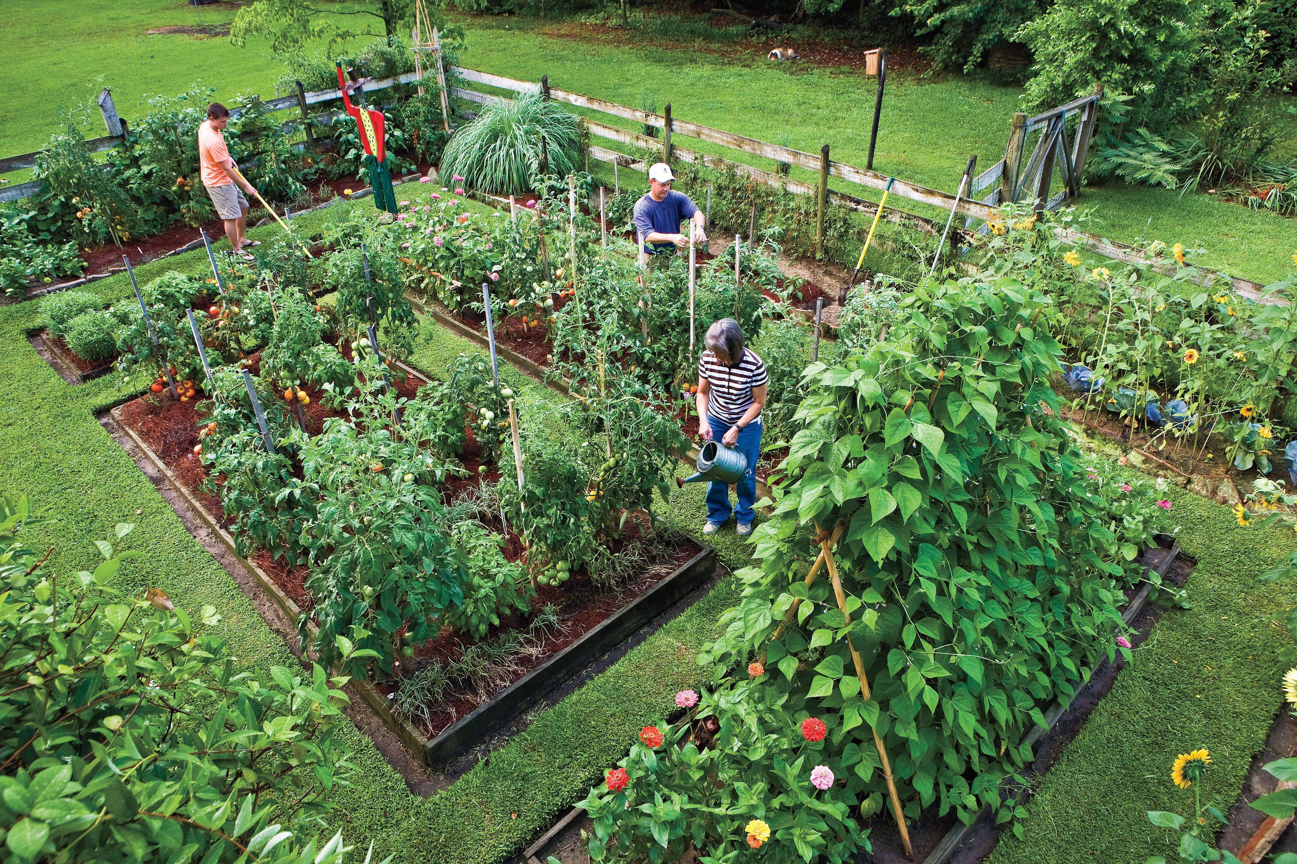 Your Own Veggie Patch Southern Living