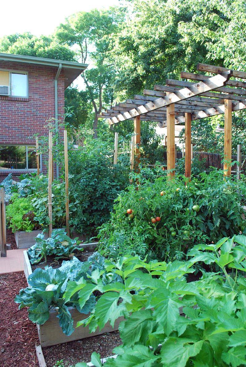 20 Traditional Southern Vegetable Garden Ideas You Must Look | SharonSable