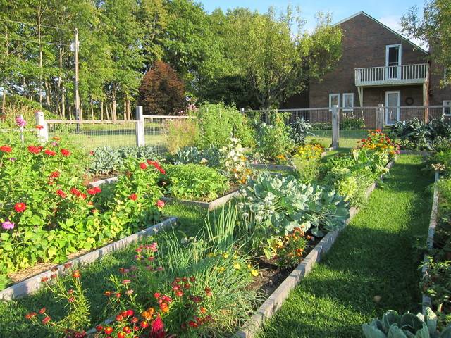 20 Traditional Southern Vegetable Garden Ideas You Must Look | SharonSable