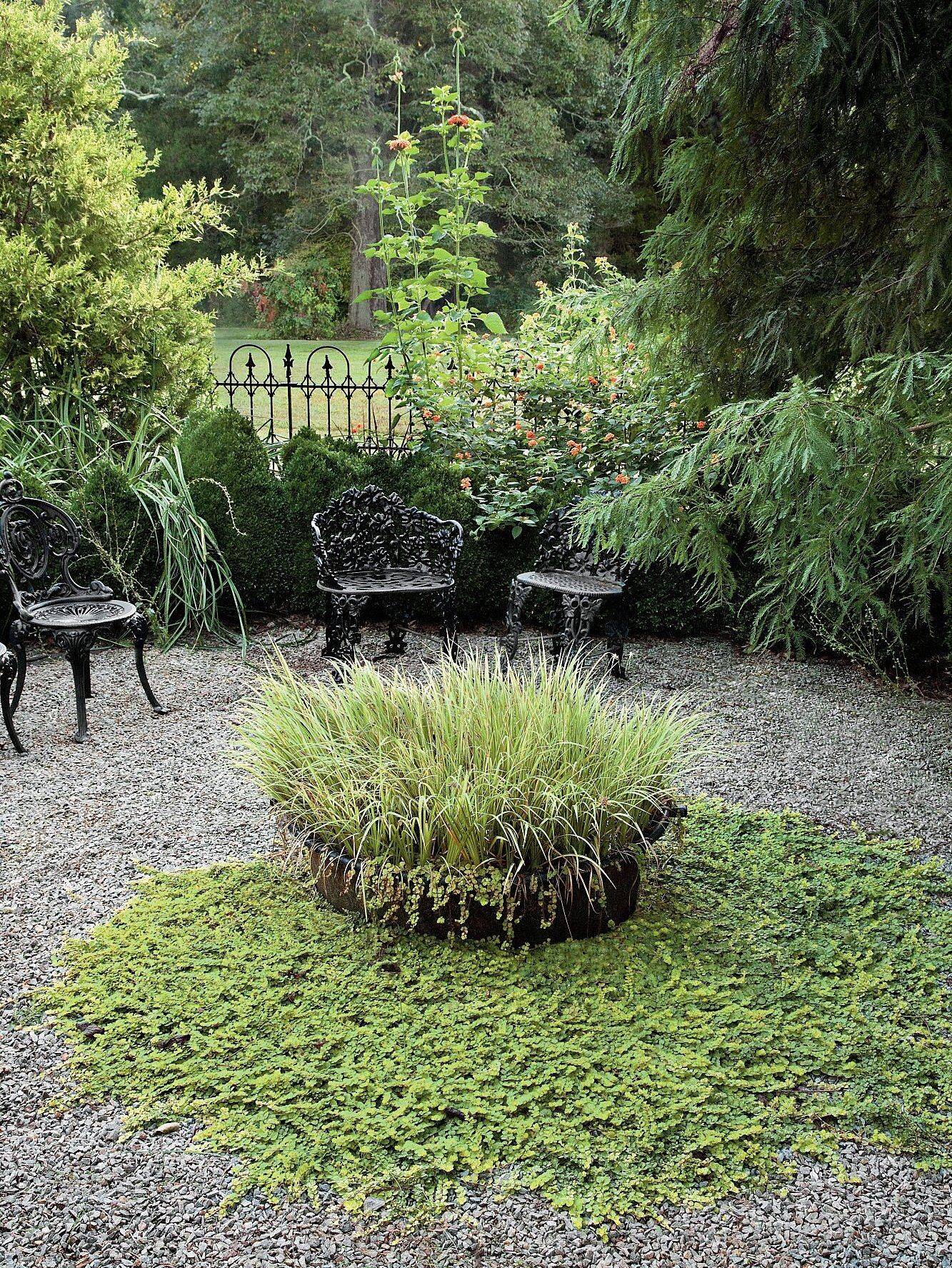 20 Traditional Southern Vegetable Garden Ideas You Must Look | SharonSable