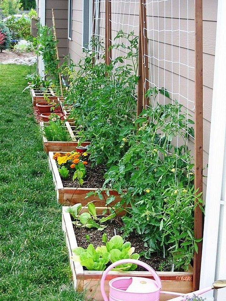 Easy Vegetable Garden Layout Ideas