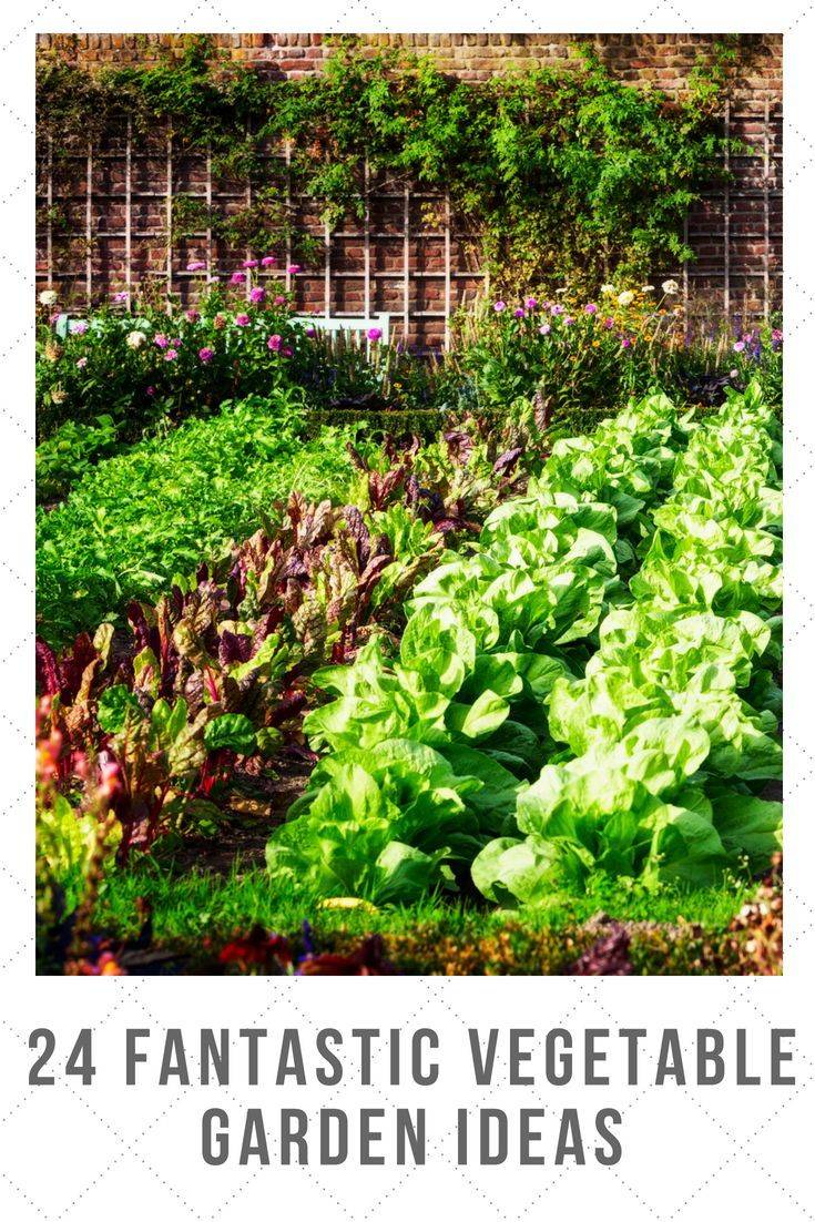 Best Beautiful Vegetable Gardens Ideas