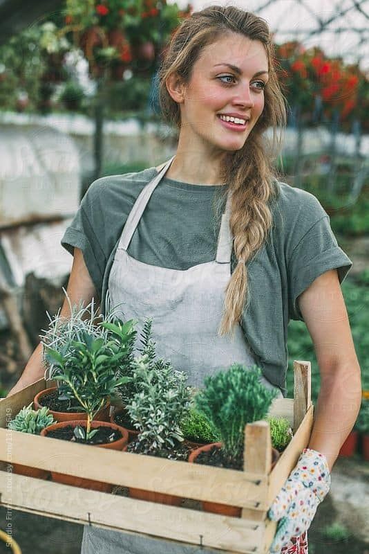 Vegetable Garden Barnyard Party