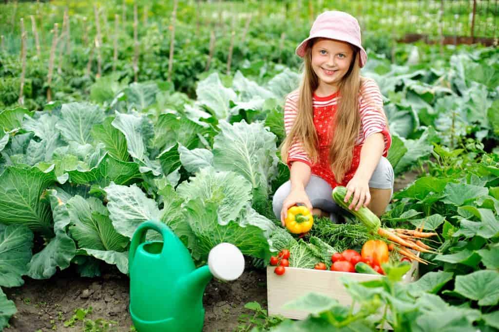 Gardeningladywateringvegetablegardenplants