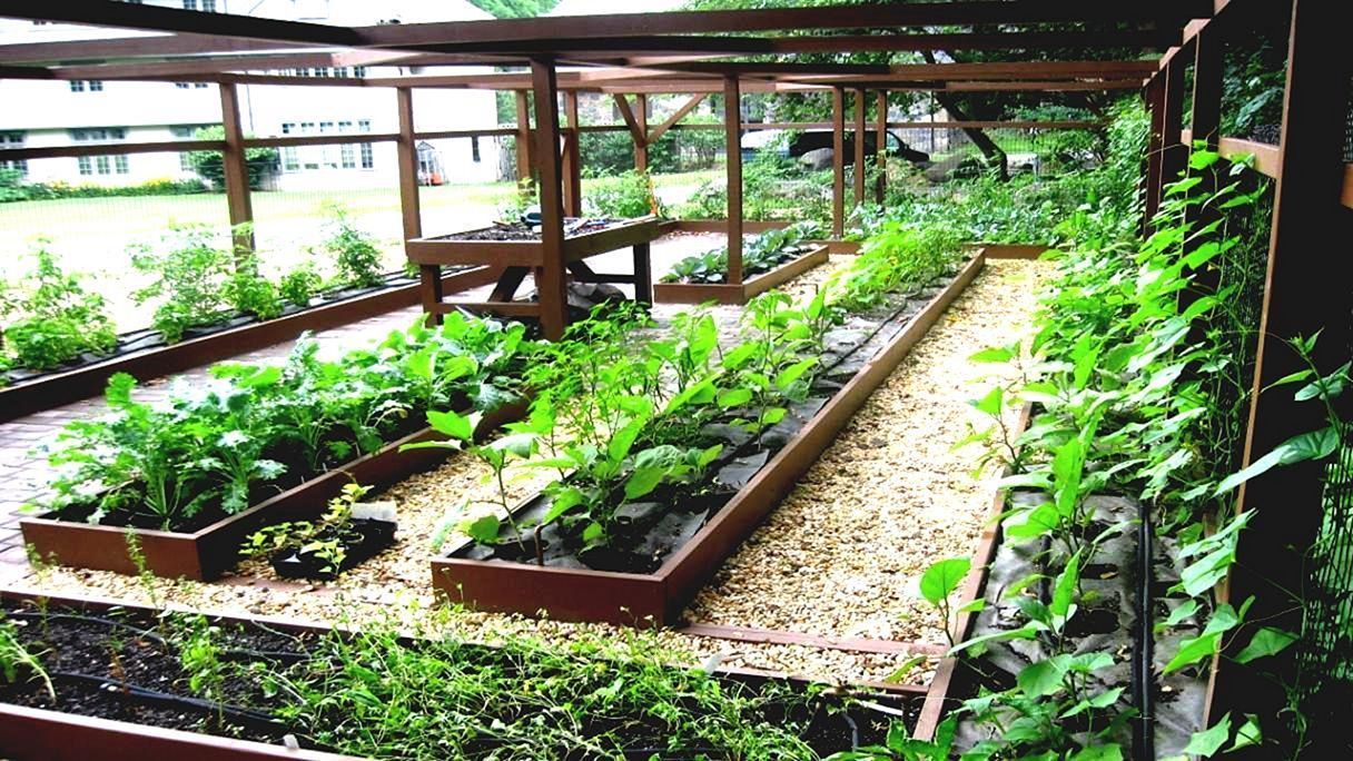 Google Pretraga Vegetable Garden