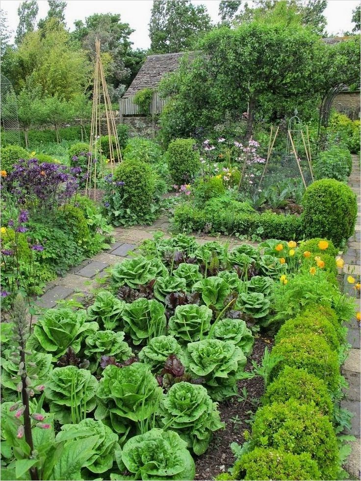 Small Vegetable Gardens