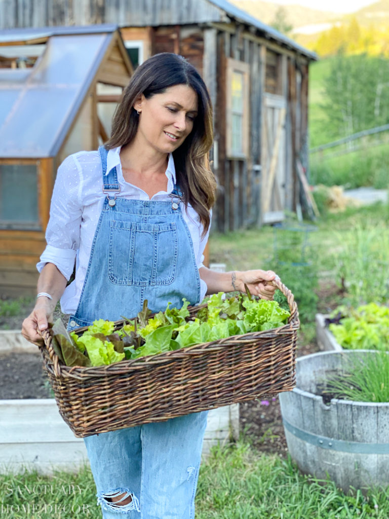 Green Country Farmhouse