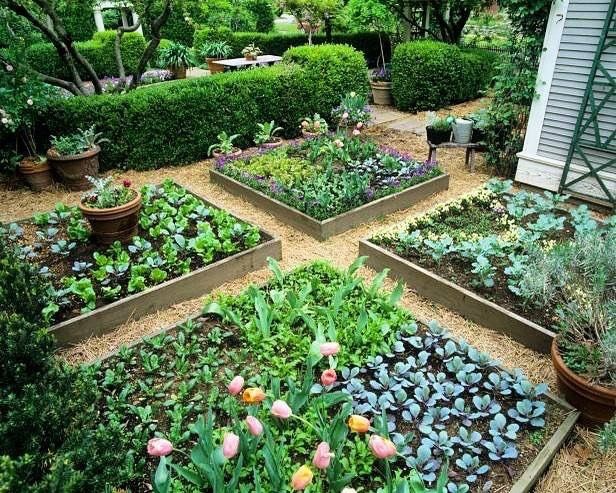 Potager Garden
