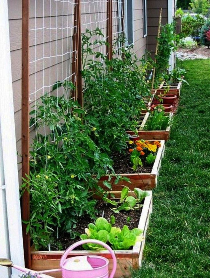 Small Space Vegetable Garden Design Ideas Small Space Garden Ideas