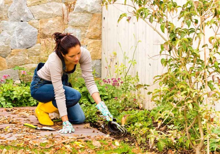 Garden Stock Photos
