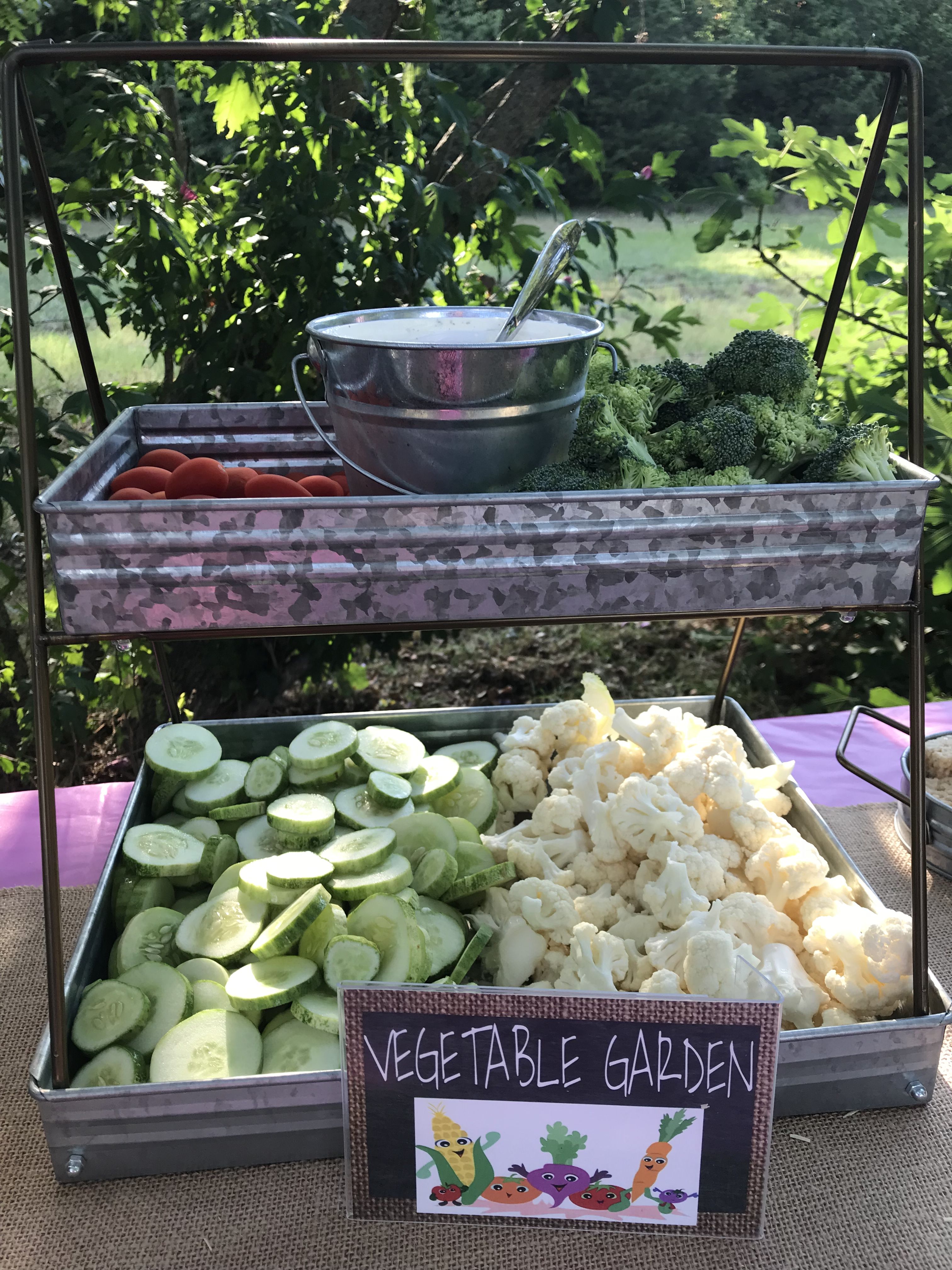 Her Backyard Vegetable Garden