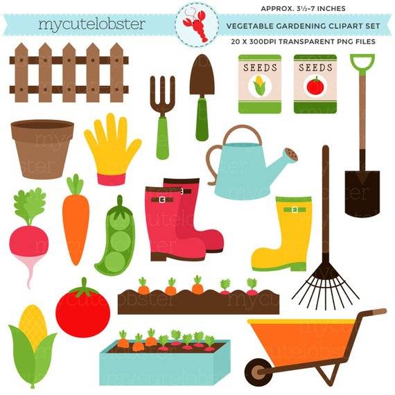 A Vegetable
