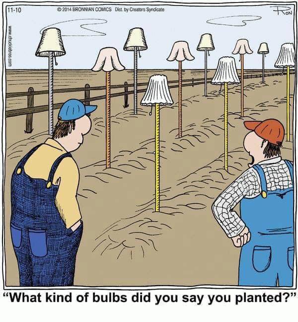Best Community Garden Illustrations