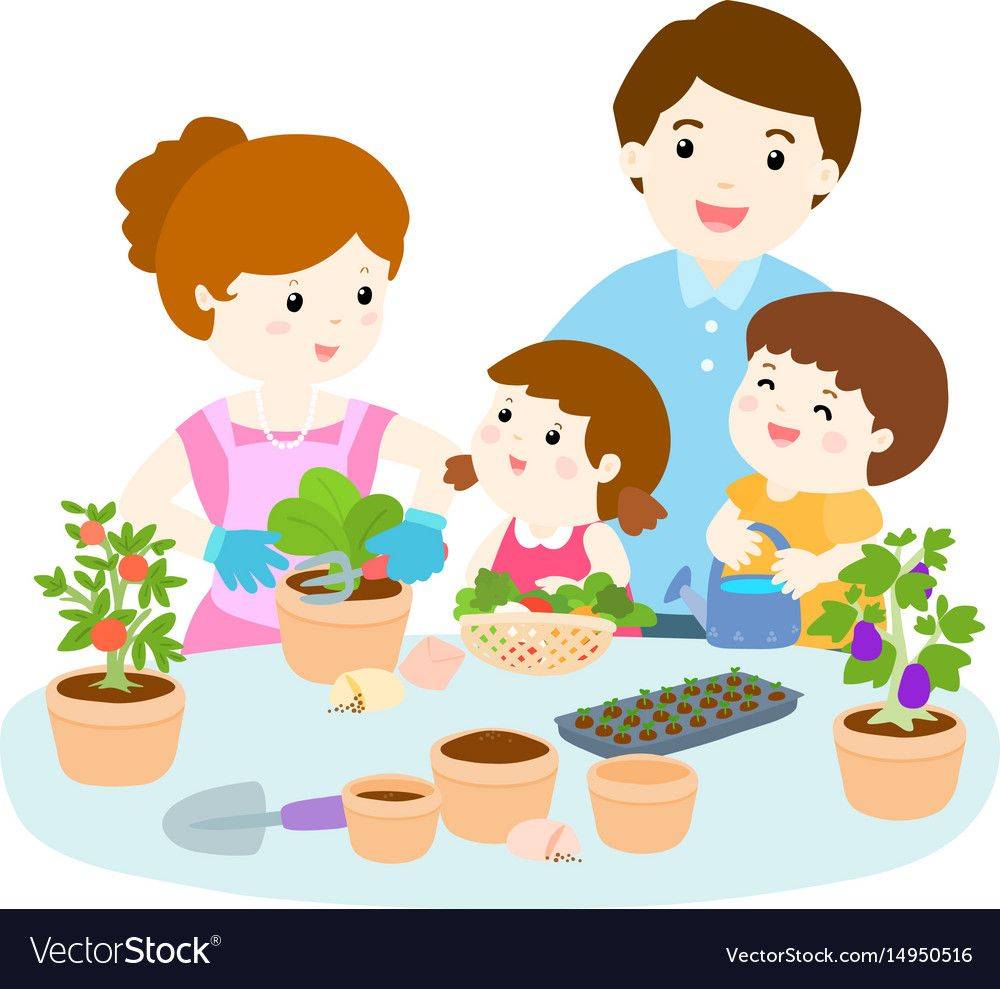 Best Vegetable Garden Illustrations