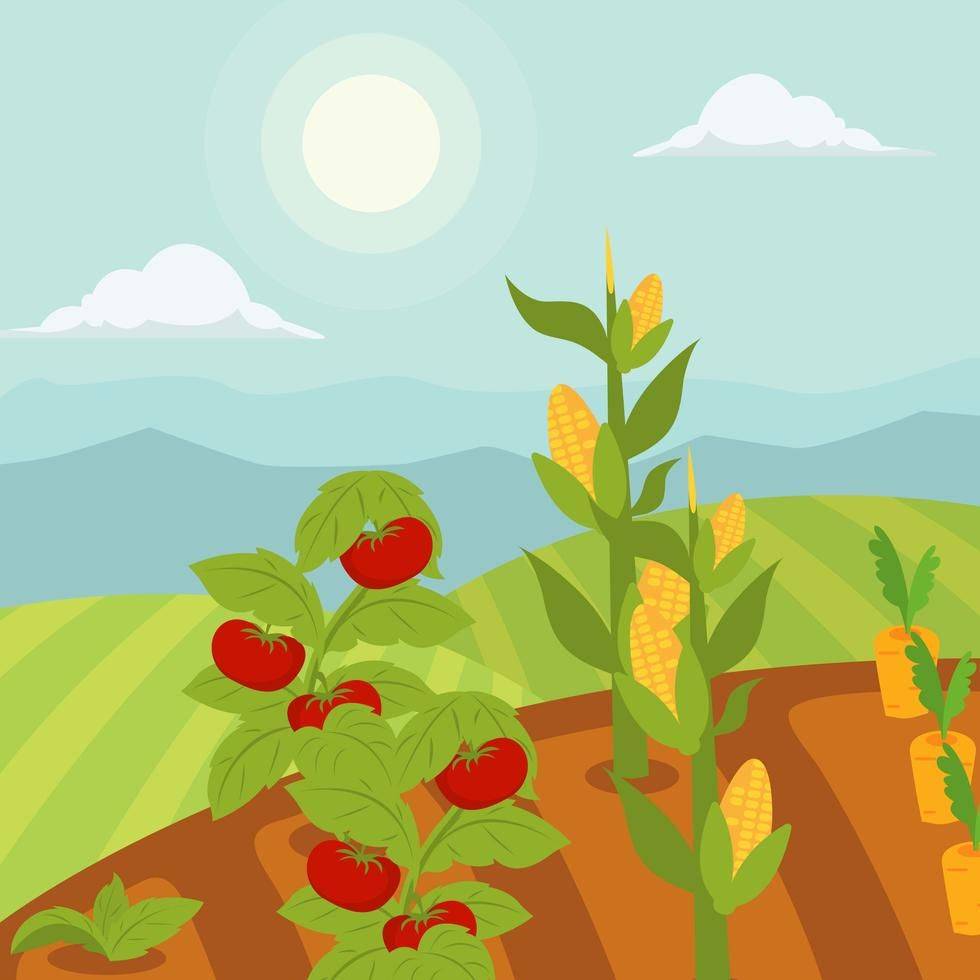 Carrot Garden Vector Image