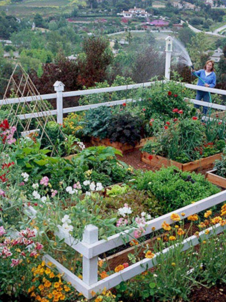Rooftop Vegetable Garden Ideas