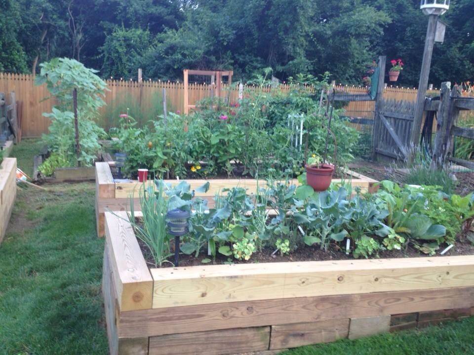 Rooftop Vegetable Garden Ideas