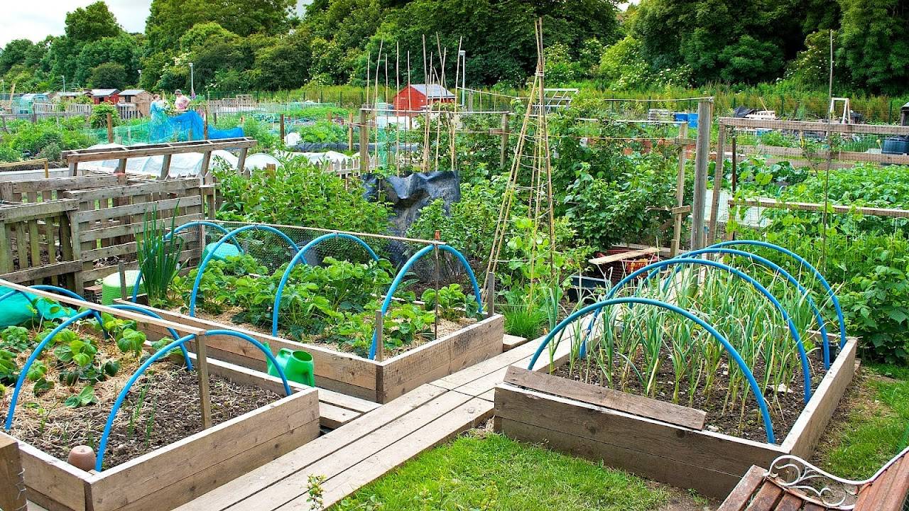 Diy Vegetable Garden Ideas