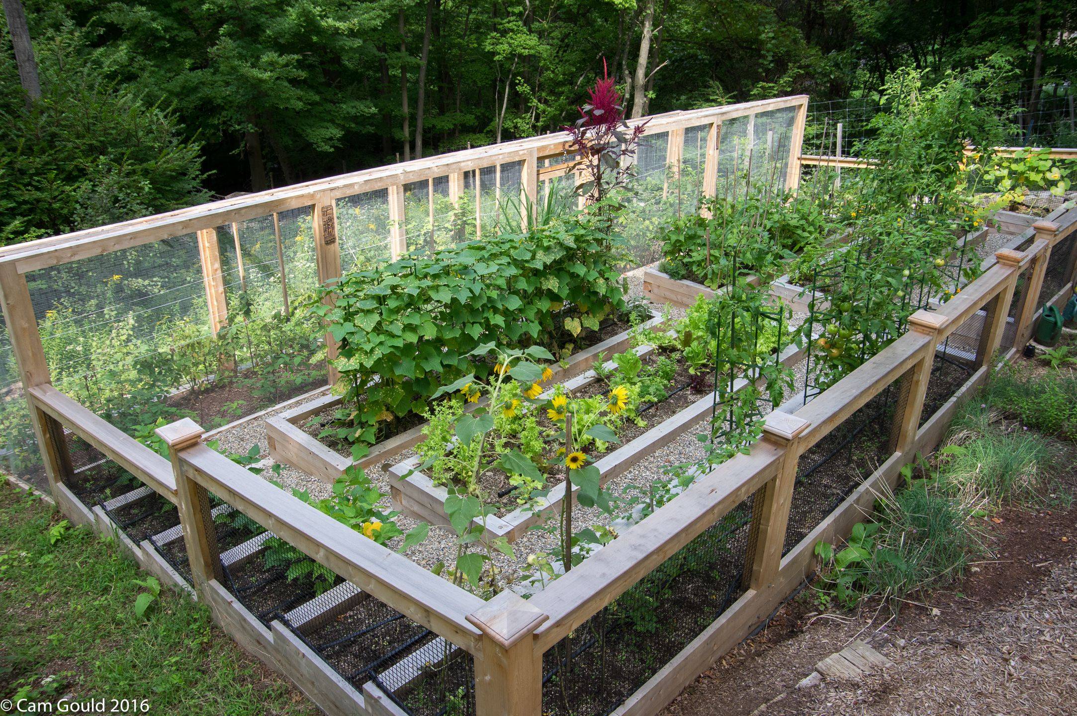 Small Vegetable Garden Designs