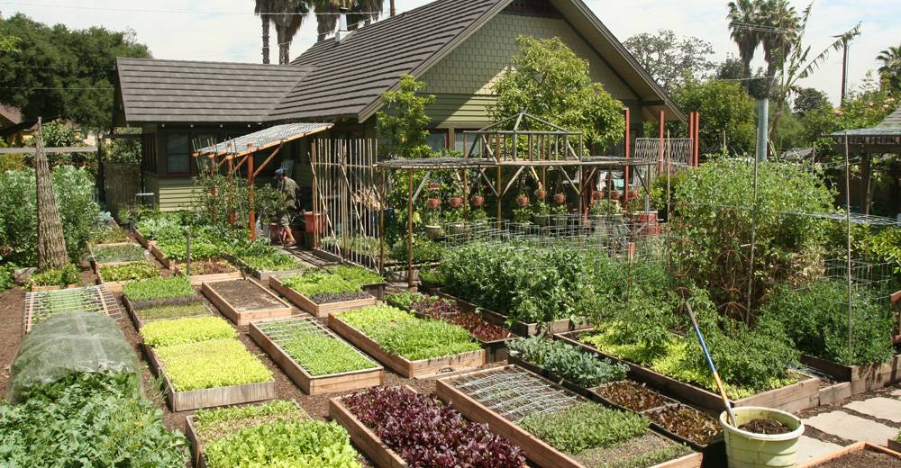 Farm Layout Design Ideas