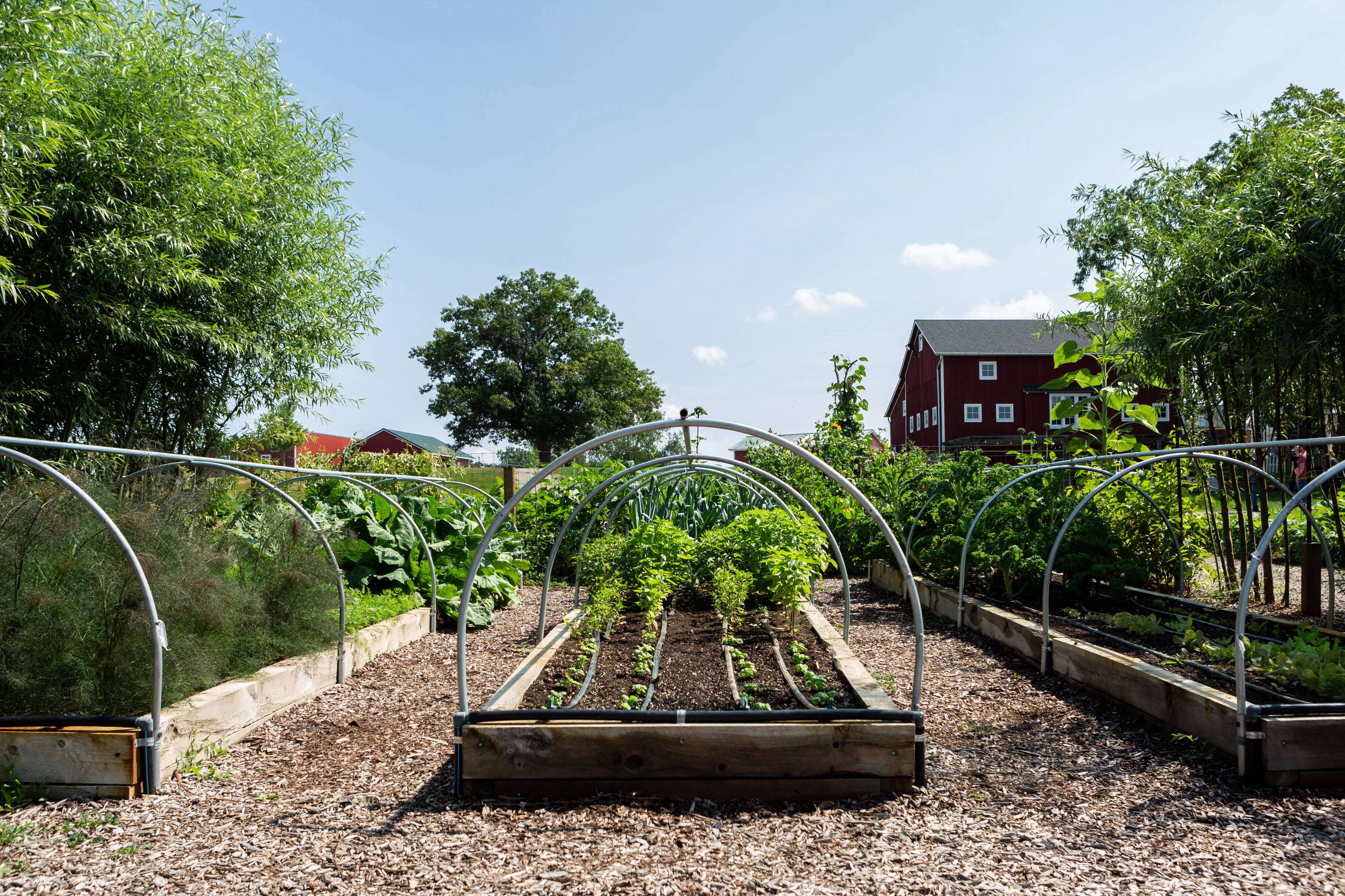 The Best Small Farm Ideas