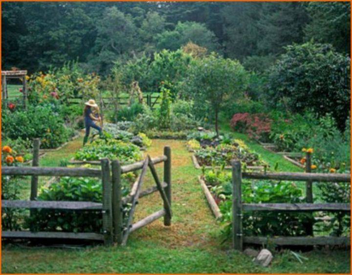 Successful Container Vegetable Gardening Country Landscape
