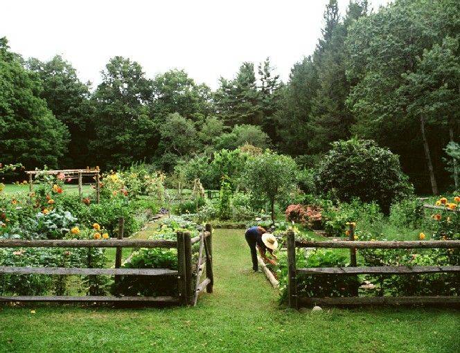 Successful Container Vegetable Gardening Country Landscape